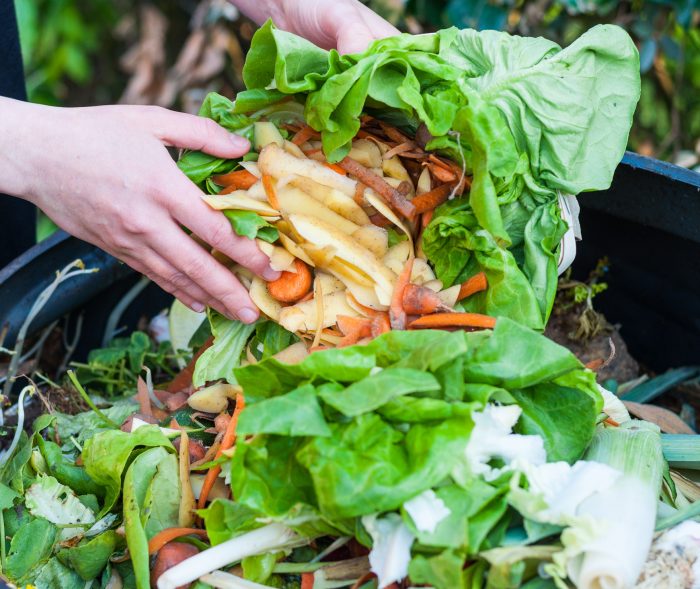 déchets restauration collective gaspillage alimentaire